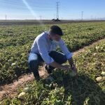 El consejero Antonio Luengo visita las plantaciones afectadas por el granizoGOBIERNO REGIONAL12/06/2020