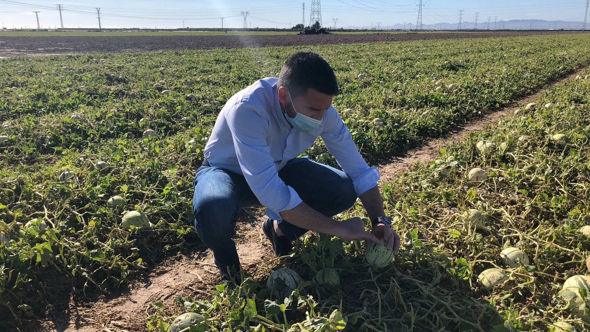 El consejero visita las plantaciones afectadas por el granizo