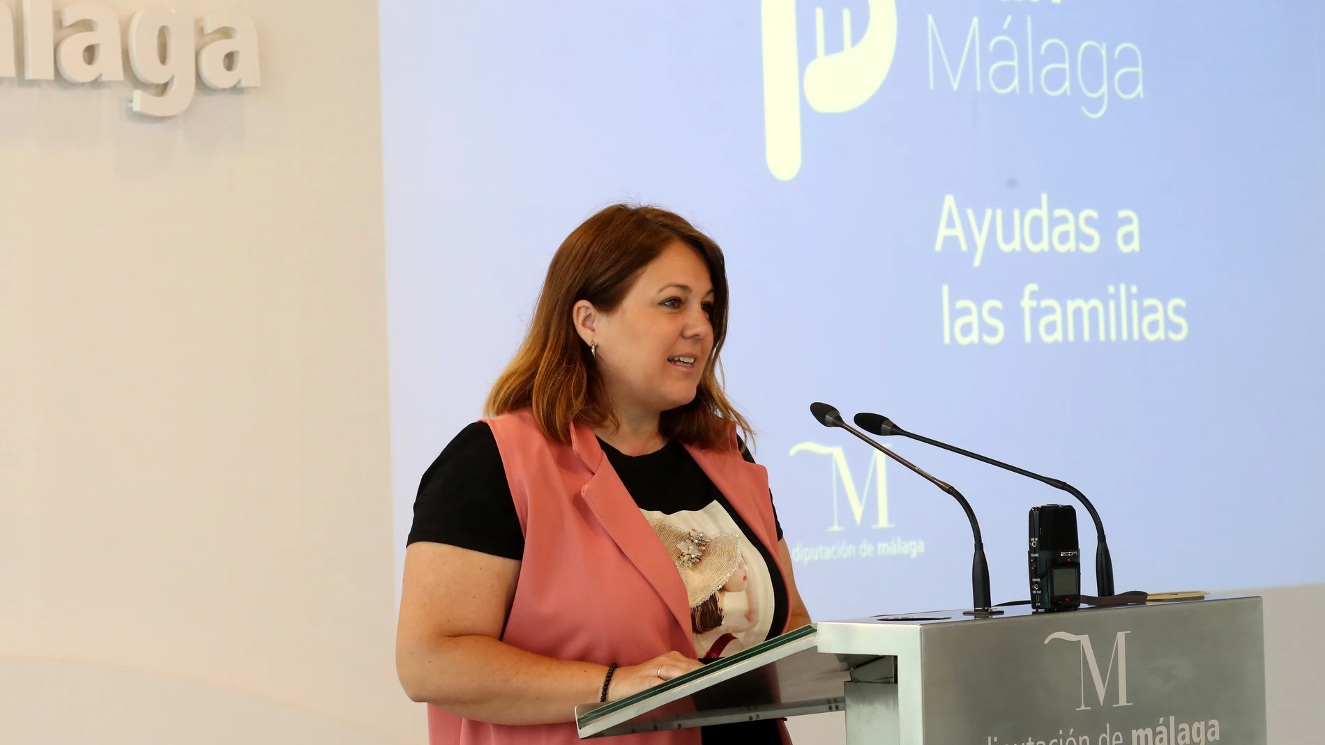 Málaga.- Coronavirus.- La Diputación ayudará a más de 7.000 familias a través del Plan Málaga para la recuperación