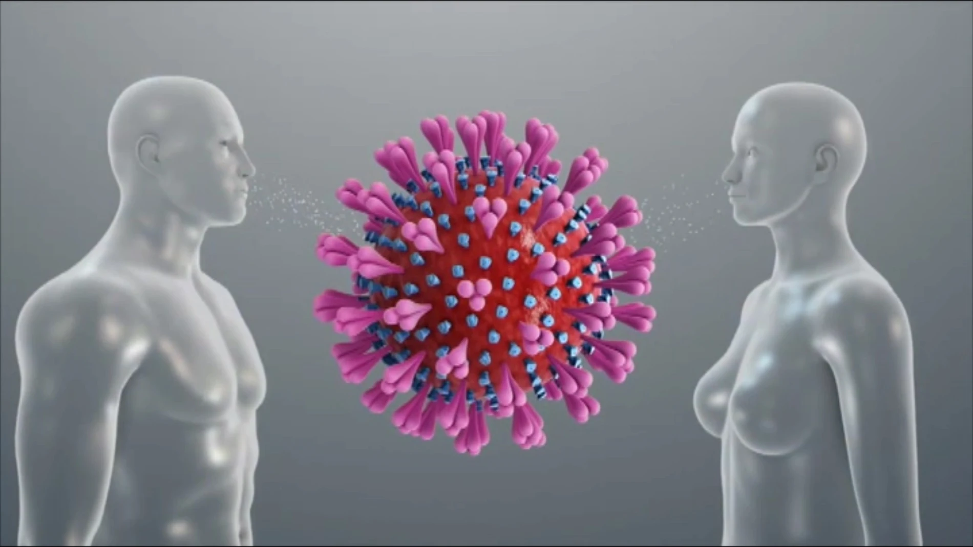 Haber superado otros coronavirus puede dejar en el cuerpo algo de inmunidad. Es lo que se conoce como inmunidad cruzada.