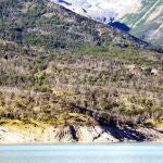 Árboles muertos y vivos de "Nothofagus pumulio" debido a la sequía de 2011-2012 cerca de Lago Argentino, en Los Andes de la Patagonia argentina (Santa Cruz, Argentina)