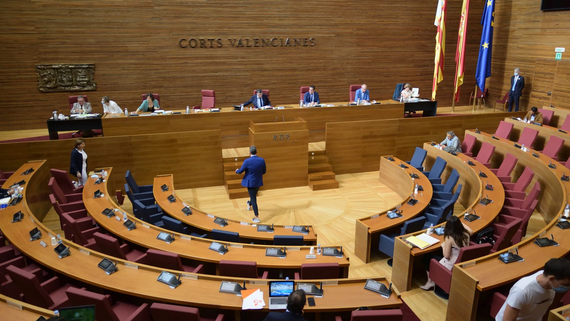 Les Corts aprobó la creación de la comisión de estudio de manera unánime