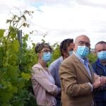 El consejero de Agricultura, Ganadería y Desarrollo Rural, Jesús Julio Carnero, visita viñedos de la DO Rueda junto a la alcaldesa de Nava del Rey, Blanca Martín y el presidente de Asaja, Donaciano Dujo entre otros