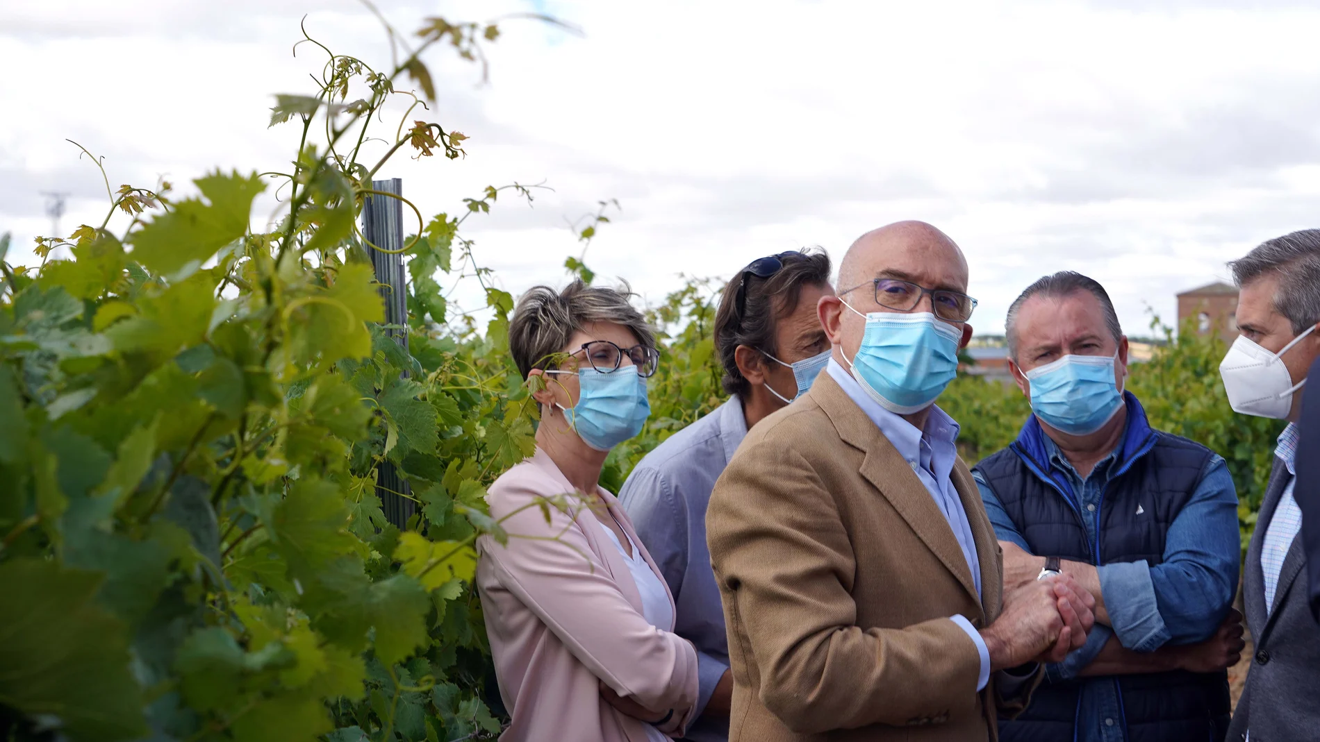 El consejero de Agricultura, Ganadería y Desarrollo Rural, Jesús Julio Carnero, visita viñedos de la DO Rueda junto a la alcaldesa de Nava del Rey, Blanca Martín y el presidente de Asaja, Donaciano Dujo entre otros