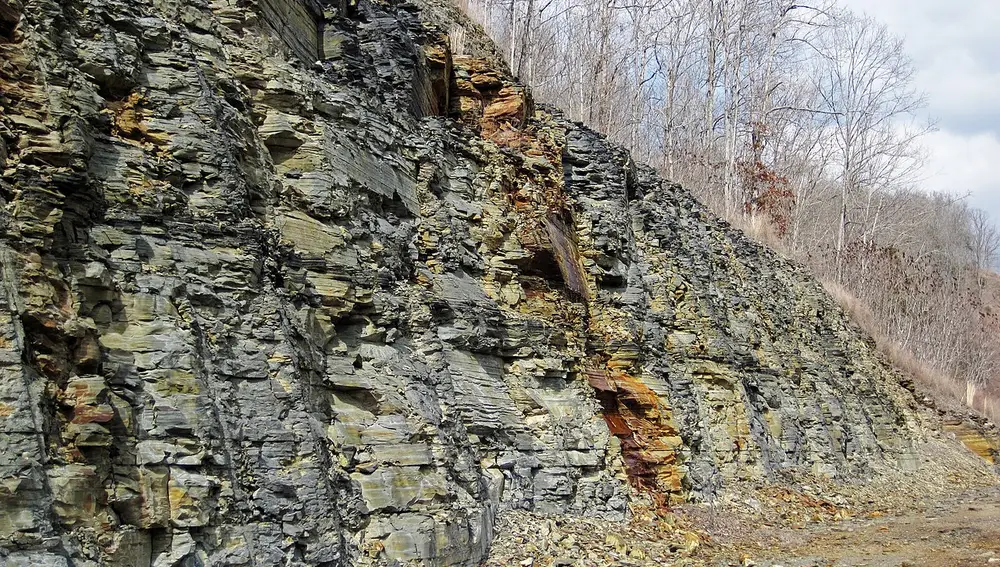 Estratos de lutita del final del Devónico de la formación Chattanooga, en el sur de Kentucky. El color oscuro de la roca se debe al alto contenido en carbono, proveniente de la materia orgánica que caía al fondo del mar.