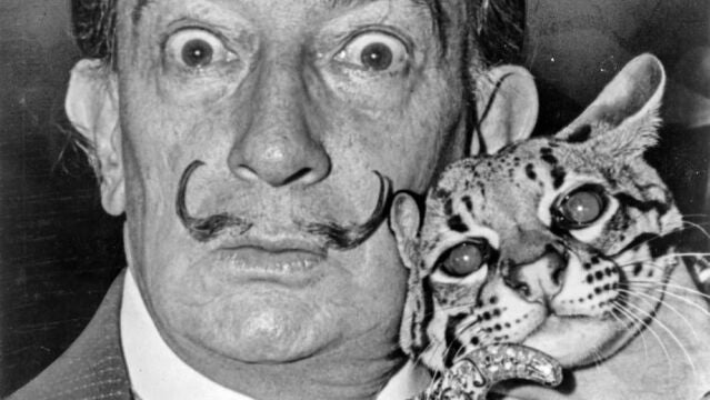 Salvador Dalí con un ocelote llamado Babou