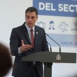 MADRID, 18/06/2020.- El presidente del Gobierno, Pedro Sánchez, da un discurso durante la presentación del Plan de Impulso al Sector Turístico, este jueves, en el Complejo de la Moncloa, en Madrid. EFE/Rodrigo Jiménez POOL