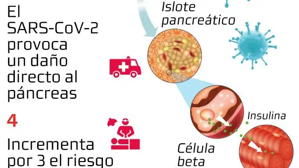 Vinculación entre diabetes y Covid-19