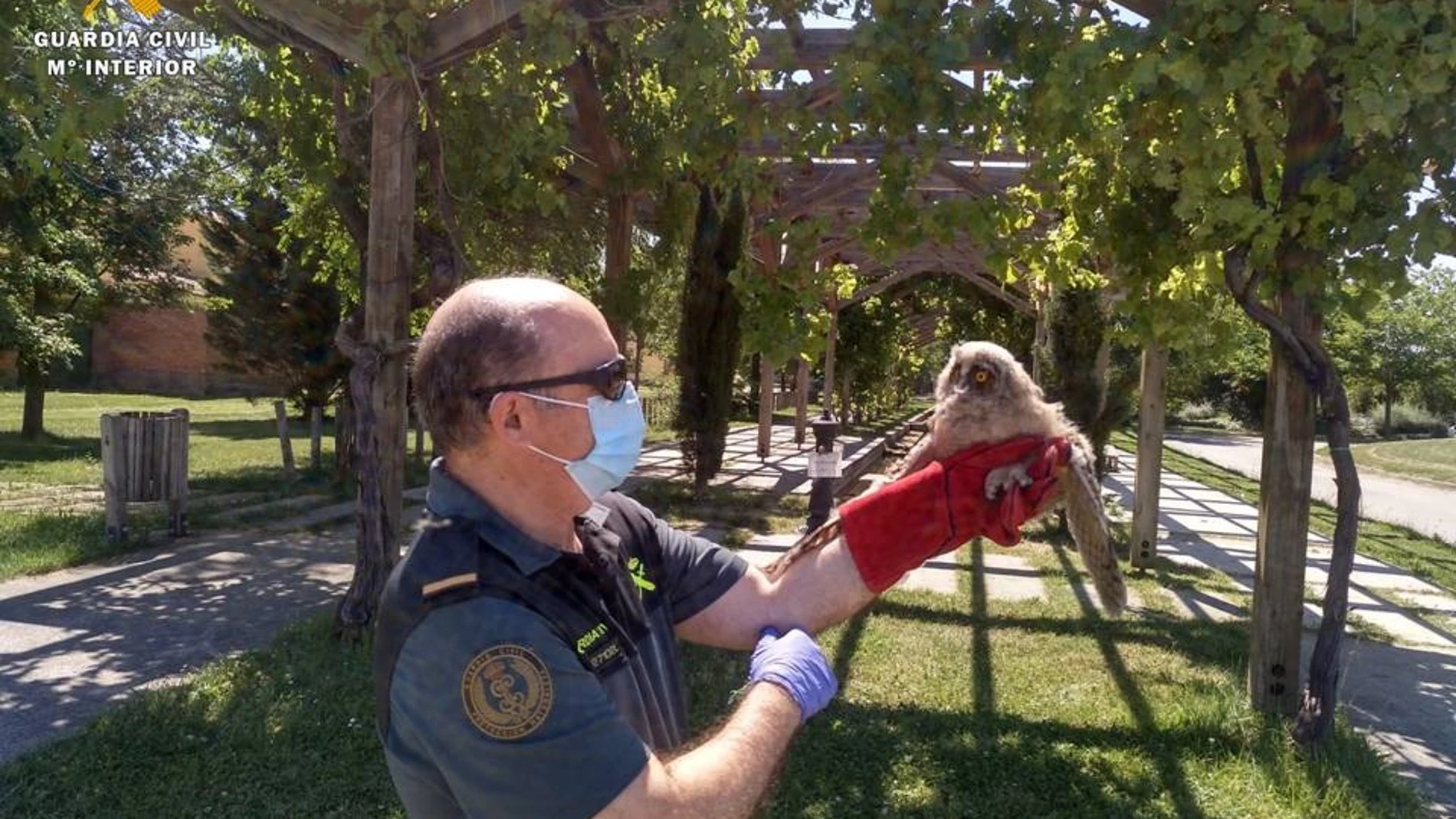 Imagen de archivo de agentes del Seprona de la Guardia Civil con un ejemplar de ave rapaz