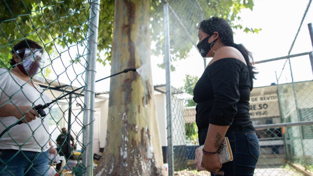 21 June 2020, Mexico, Pacho Viejo: A worker disinfects a visitor during an operation in the Pacho Viejo Prison to celebrate Father's Day and prevent further Coronavirus (Covid-19) infections. Photo: Hector Adolfo Quintanar Perez/ZUMA Wire/dpa21/06/2020 ONLY FOR USE IN SPAIN