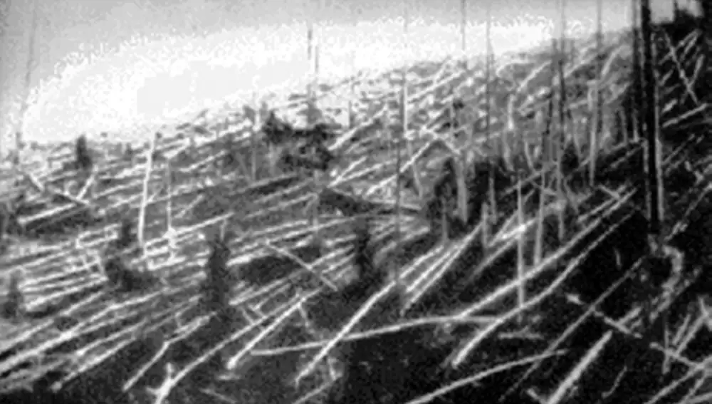 Árboles calcinados y tumbados en Tunguska en 1927.