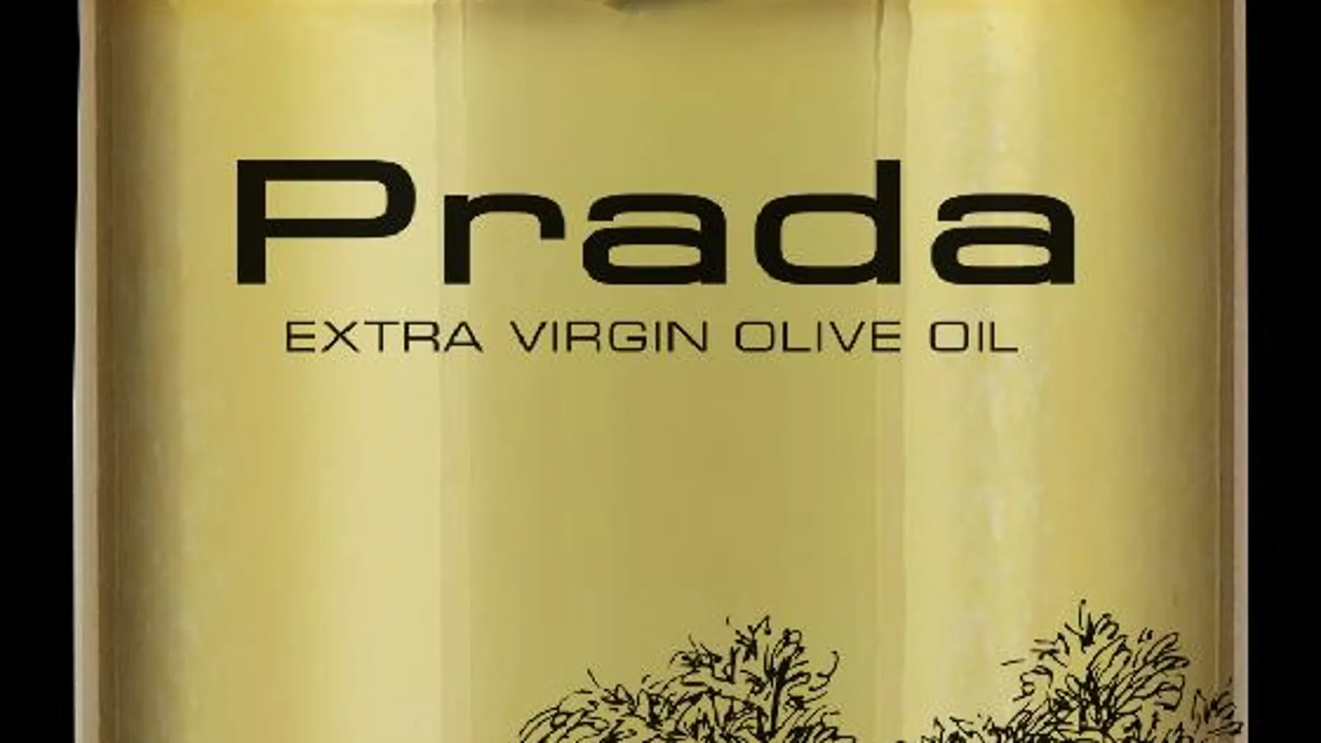 AOVE Prada