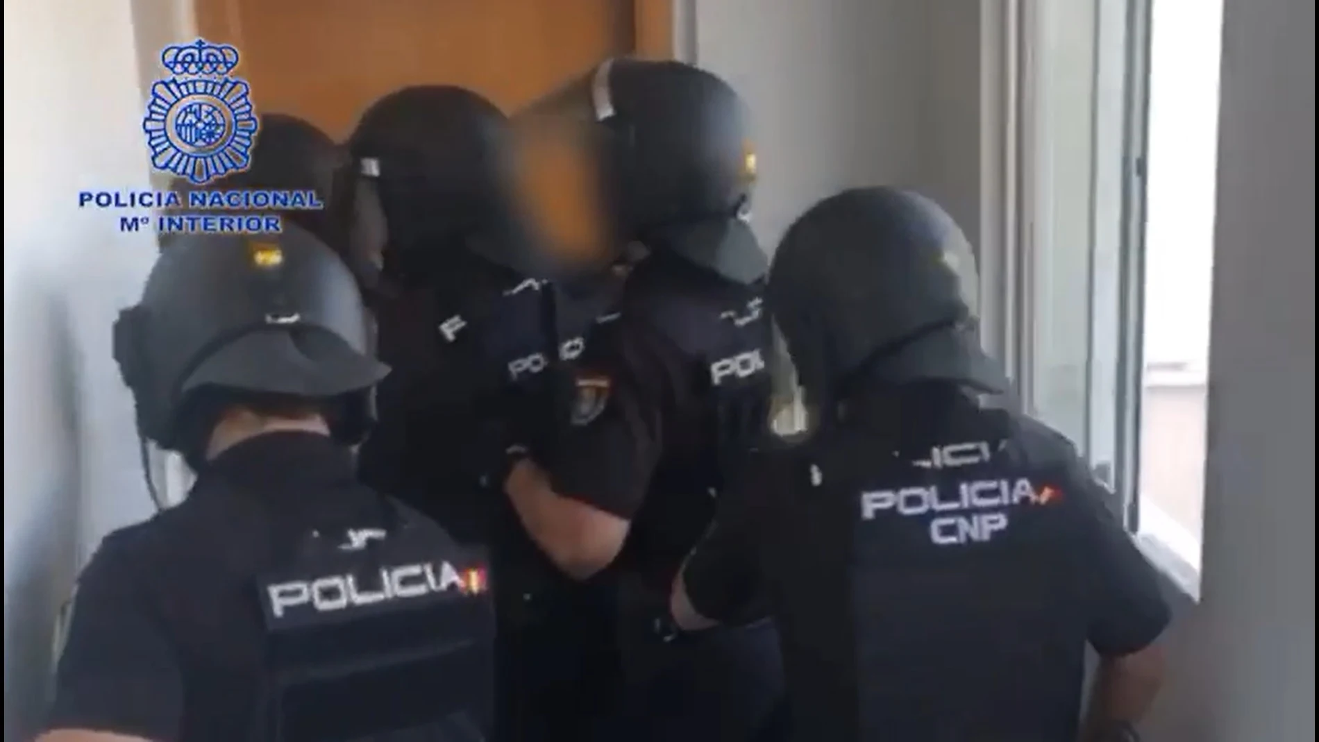 AMP.- Sucesos.- Un centenar de detenidos y 5.500 plantas de marihuana intervenidas en una operación antidroga