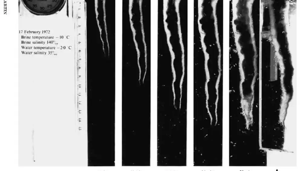 Crecimiento de un dedo de la muerte en condiciones de laboratorio. Fotografía de The Growth and Dynamics of Brinicles (Harvard)