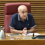 Eduardo Zafra, presidente de la Associació Ciutadana per a la Promoció y Defensa de la Salut, en la Comisión de Reconstrucción de Les Corts Valencianes