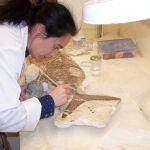 Trabajo de laboratorio con el fósil hallado en Lorca
