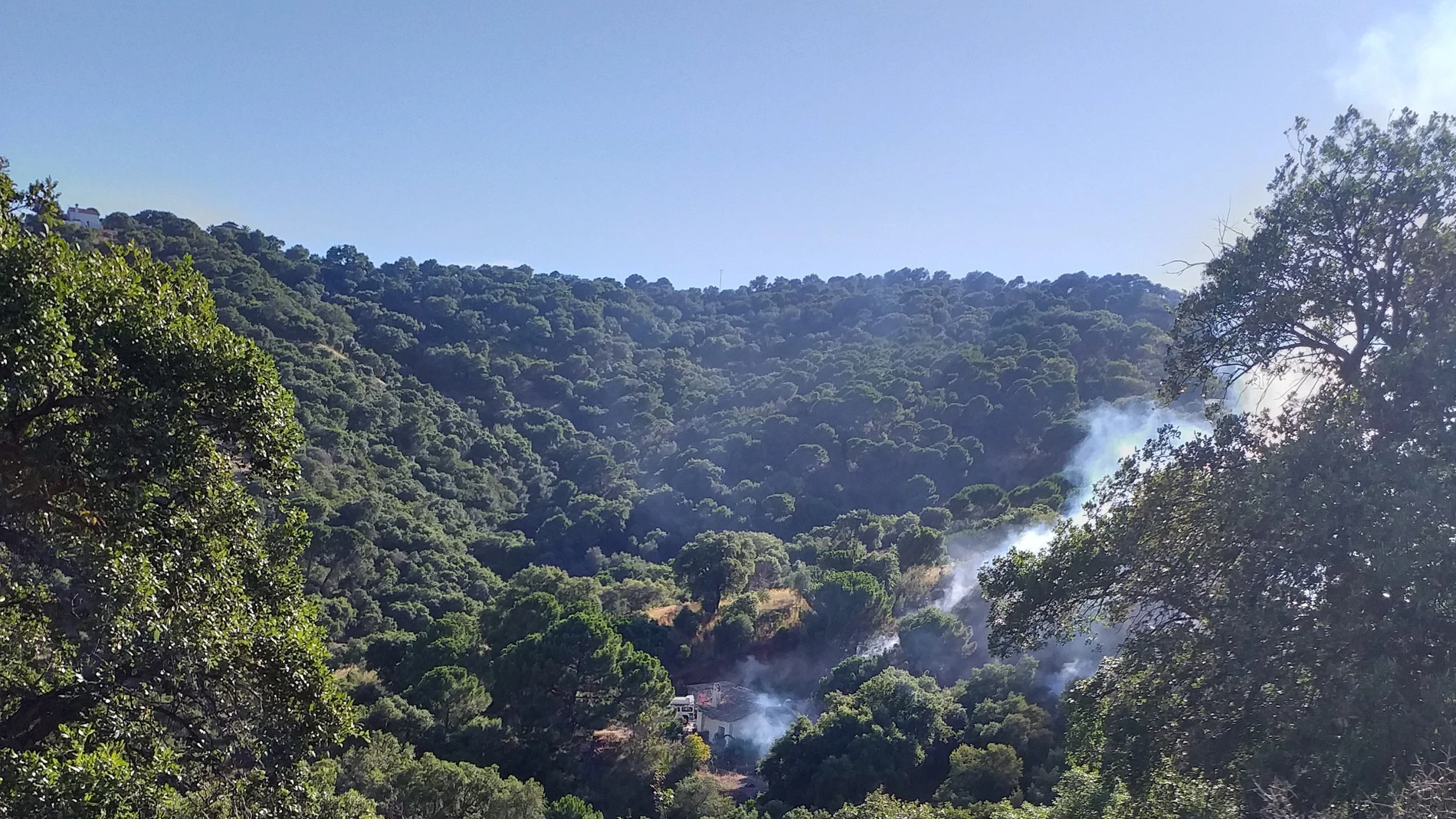 Málaga.- Sucesos.- Investigan a una persona por un incendio forestal en Casares que calcinó cerca de tres hectáreas