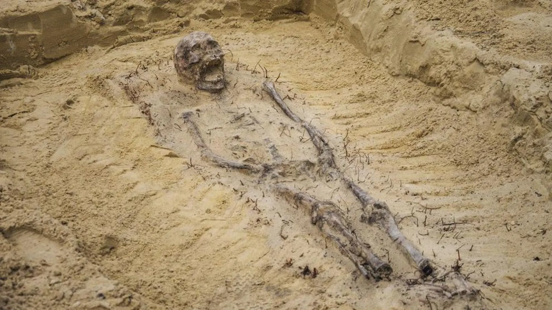 Los esqueletos de los niños aparecieron durante las obras de construcción de una carretera en Polonia