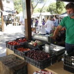 Mercado de alimentación ecológica