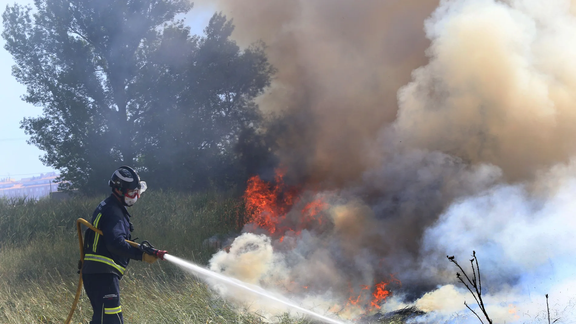 Iincendio de maleza en terrenos de la zona conocida como Camino de la Miranda en la capital palentina donde se encuentran fincas habitadas y un instituto de Formación Profesional