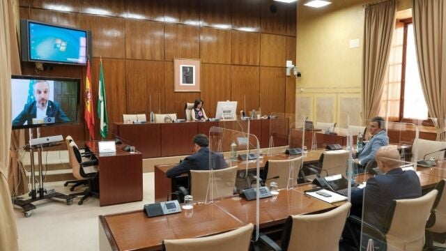 Imagen de archivo que muestra una vista general de la sesión telemática de la Subcomisión de Reactivación Económica de la comisión de estudio para la recuperación de Andalucía