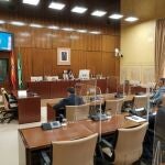 Imagen de archivo que muestra una vista general de la sesión telemática de la Subcomisión de Reactivación Económica de la comisión de estudio para la recuperación de Andalucía