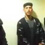 A los charmil les gusta robar y vestir ropa cara