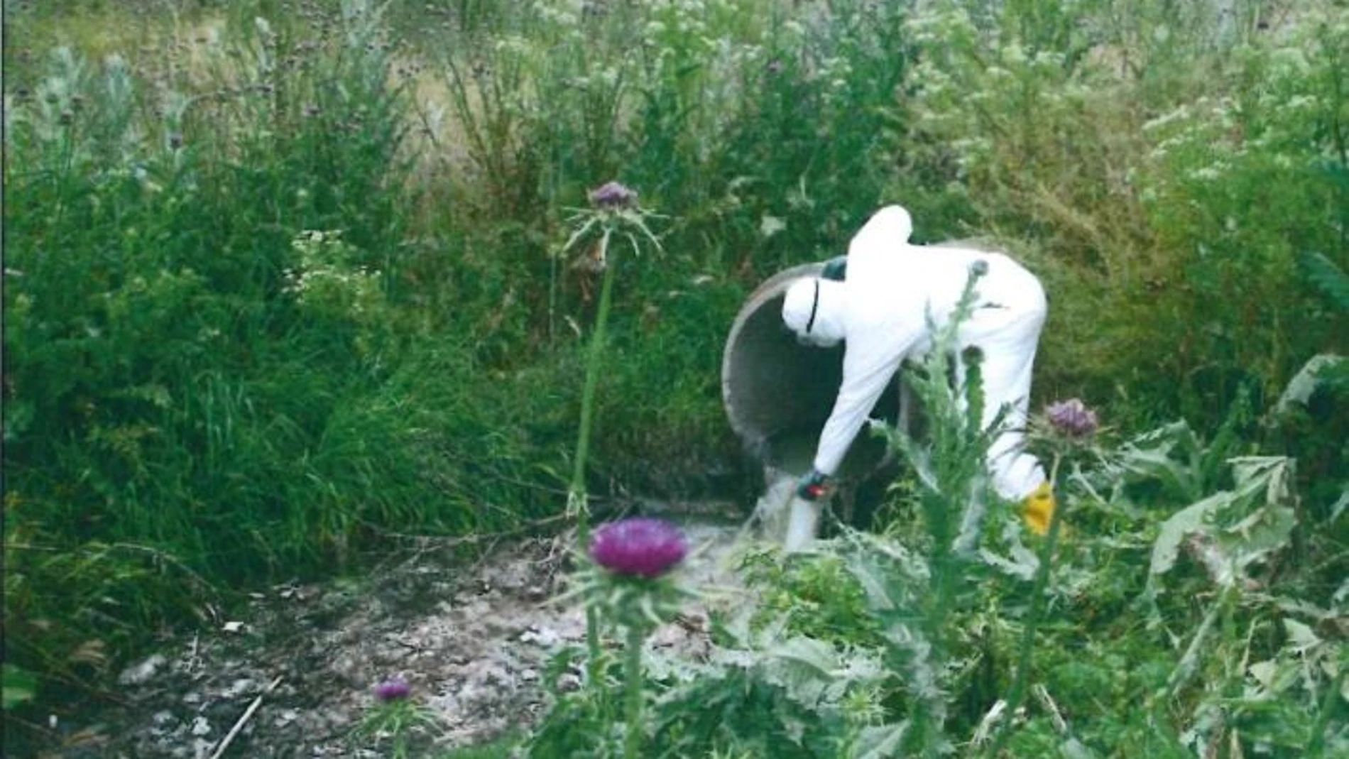 Sucesos.- El Seprona encuentra coronavirus en un vertido ilegal de aguas residuales al río Manzanares en Getafe