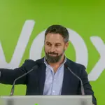  Abascal afirma que VOX planteará una oposición al “autonomismo radical” en el Parlamento vasco