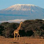 Los viajes de Mr. Worldwide: Safari en Tanzania y relax en Zanzíbar, la isla donde nació Freddie Mercury