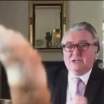 Un gato se cuela en la videollamada de un diputado escocés