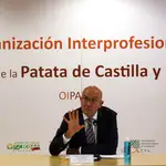  Nace en Castilla y León la primera Interprofesional en España para impulsar y defender la figura de la patata 