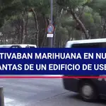 Cultivaban marihuana en nueve plantas de un edificio del barrio de Usera de Madrid