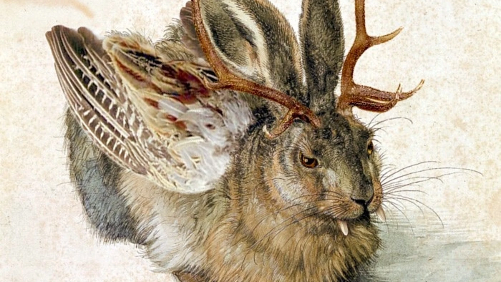El extraño caso de los conejos con alas de faisán y cornamentas de ciervo