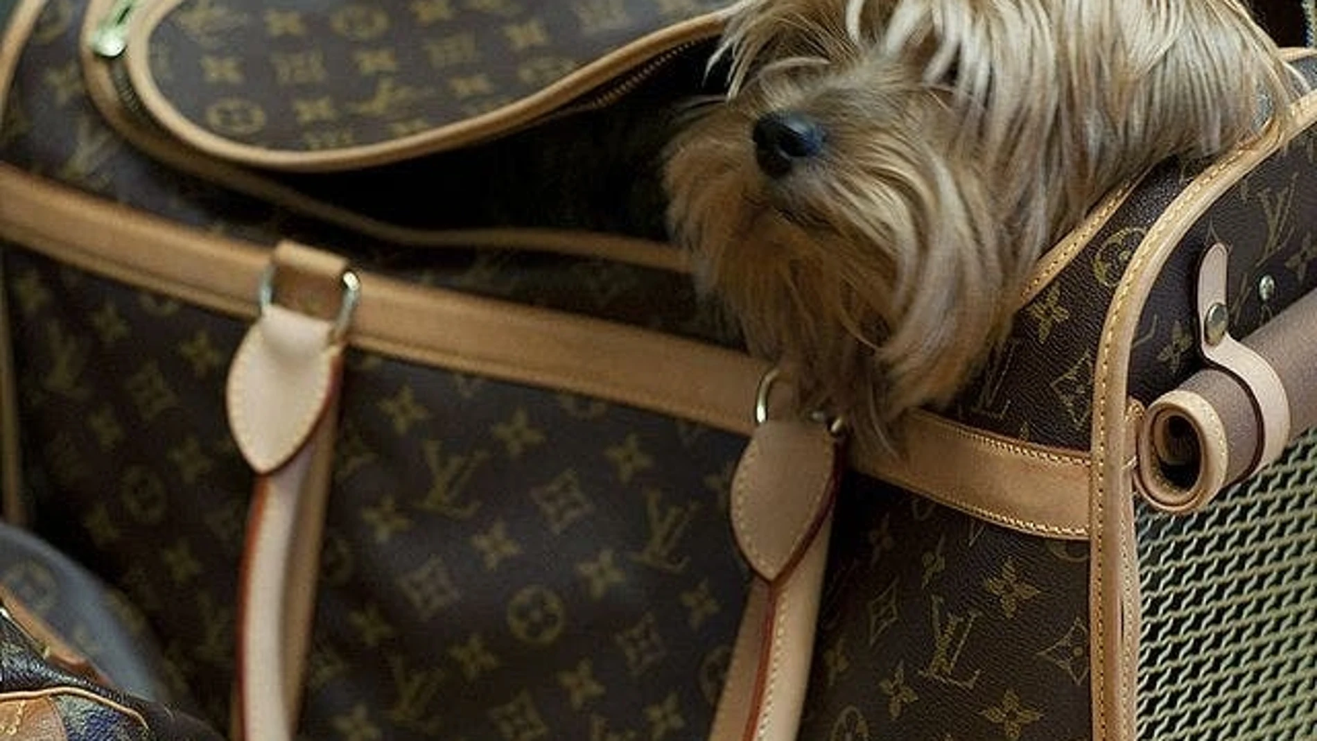 Louis Vuitton mascotas