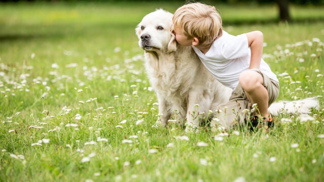 Es importante que los niños aprendan a relacionarse con los perros de la forma correcta | Fuente: Dreamstime