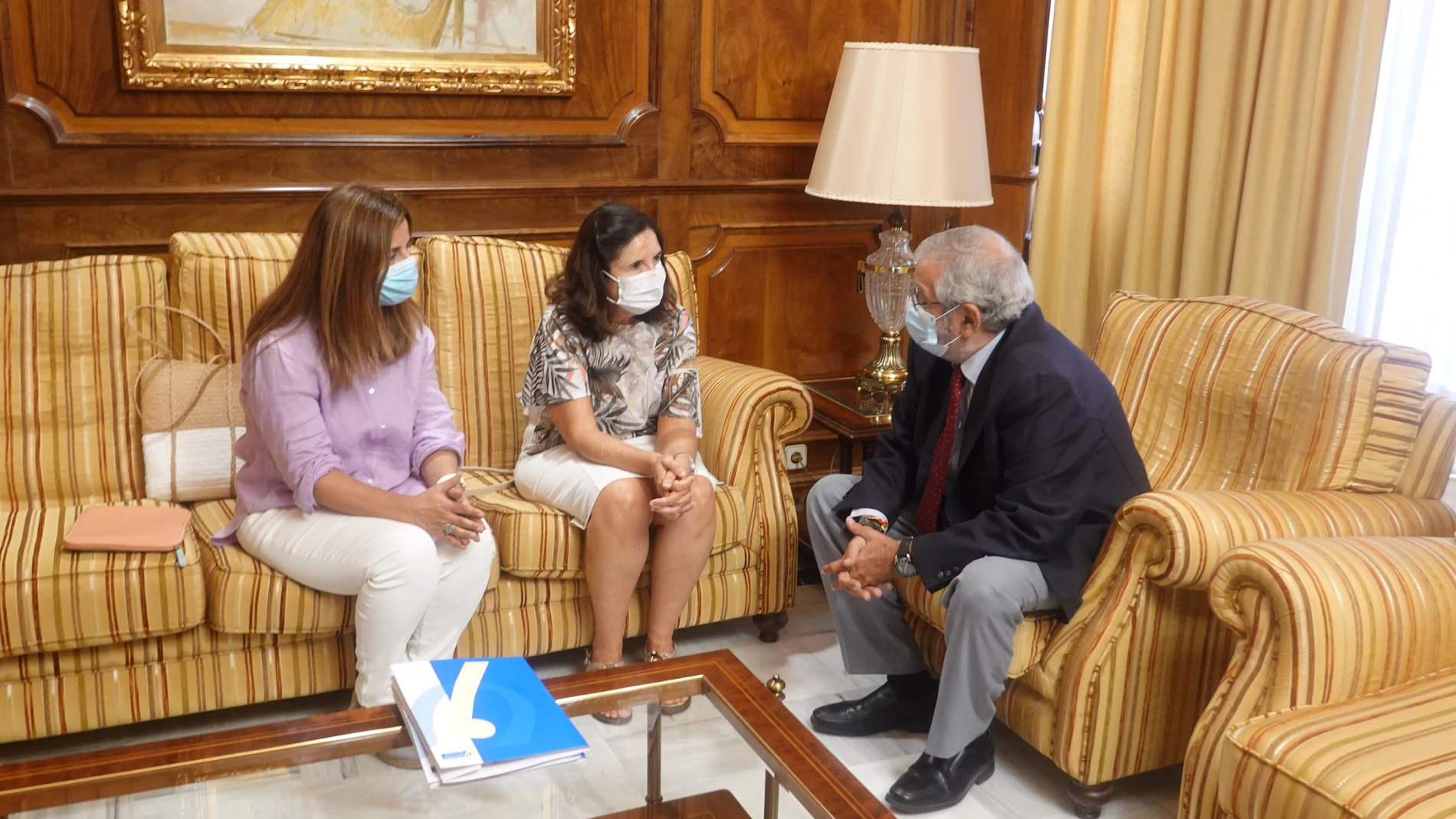 Cvirus.- El 73,5% de las personas atendidas por el Colegio de Psicólogos durante la crisis sanitaria han sido mujeres