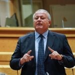El senador del Partido Popular, Francisco BernabéPP28/07/2020