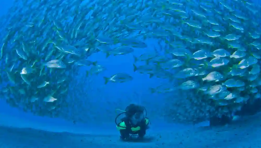 Buceo. Patronato de Turismo de Gran Canaria