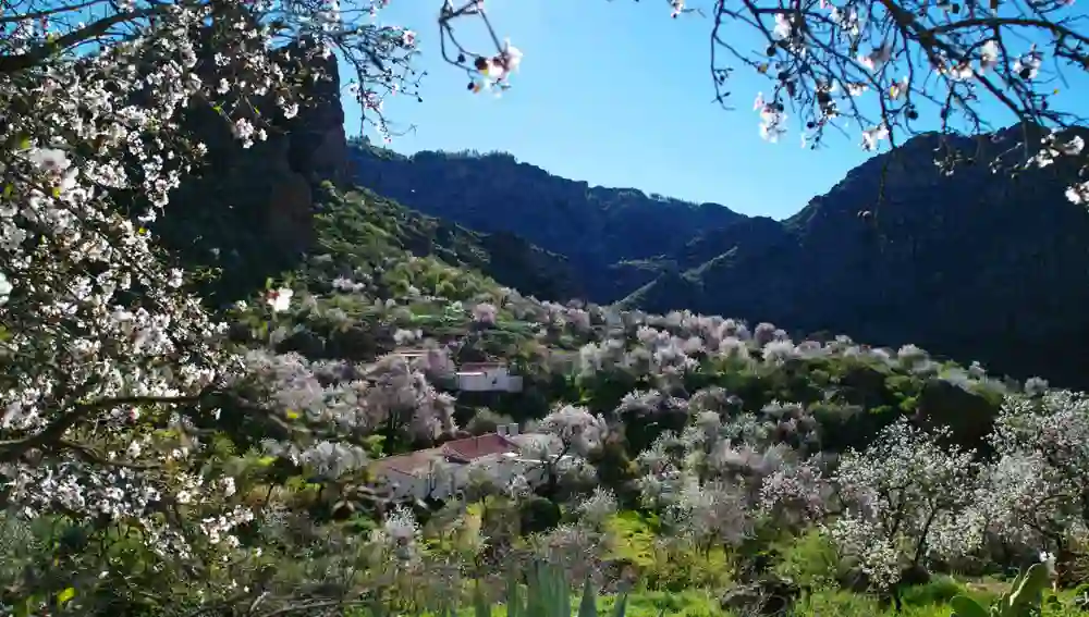 San Bartolomé de Tirajana, Ayacata. Patronato de Turismo de Gran Canaria