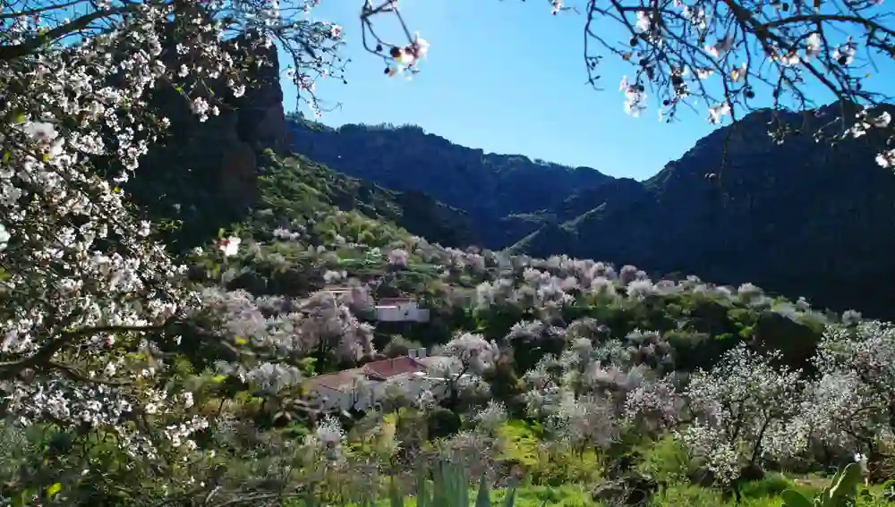 San Bartolomé de Tirajana, Ayacata. Patronato de Turismo de Gran Canaria