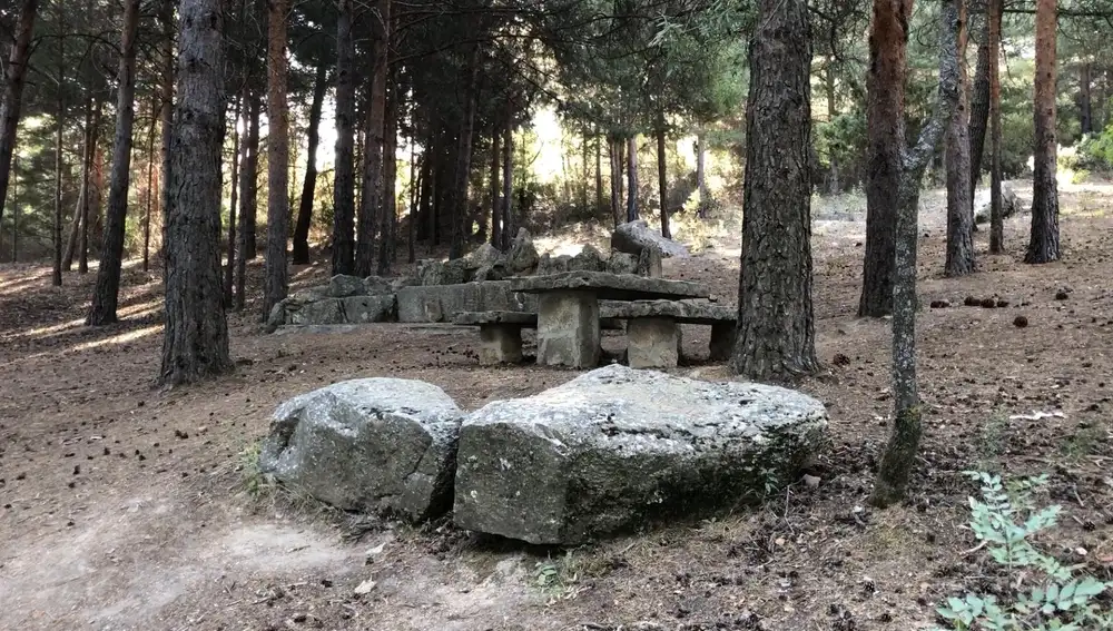 Zona de picnic en el embalse de Navacerrada