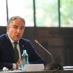 El consejero de la Presidencia, Administración Pública e Interior, Elías Bendodo, ayer
