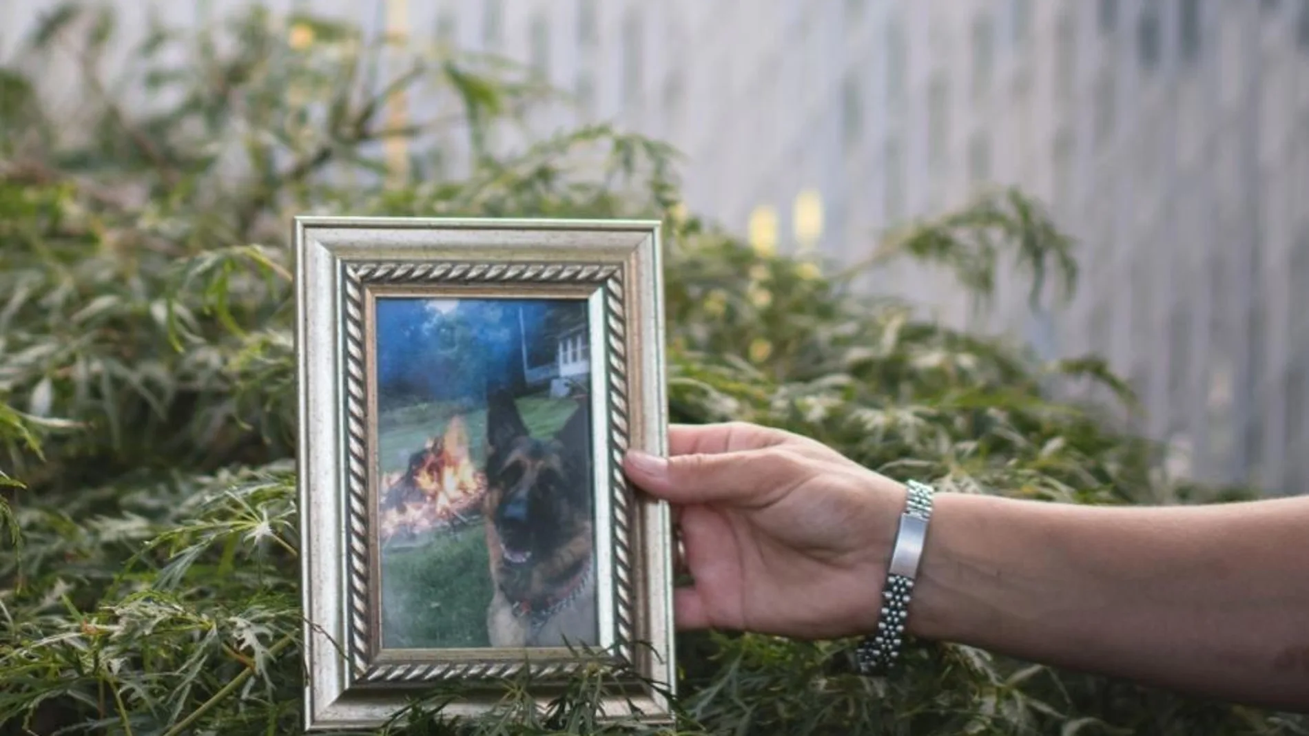 La familia Mahoney muestra una foto de Buddy. Twitter National Geographic