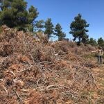 Hace tan solo nueve días el PP advertía del riesgo de incendio en la localidad por la falta de limpieza en el monte