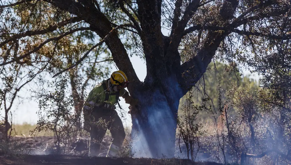 Medios terrestres trabajan para controlar el incendio en Segovia