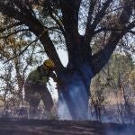 Medios terrestres trabajan para controlar el incendio en Segovia