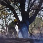  Los bomberos trabajan en un incendio en Cabanes que afecta a pinos y matorral 