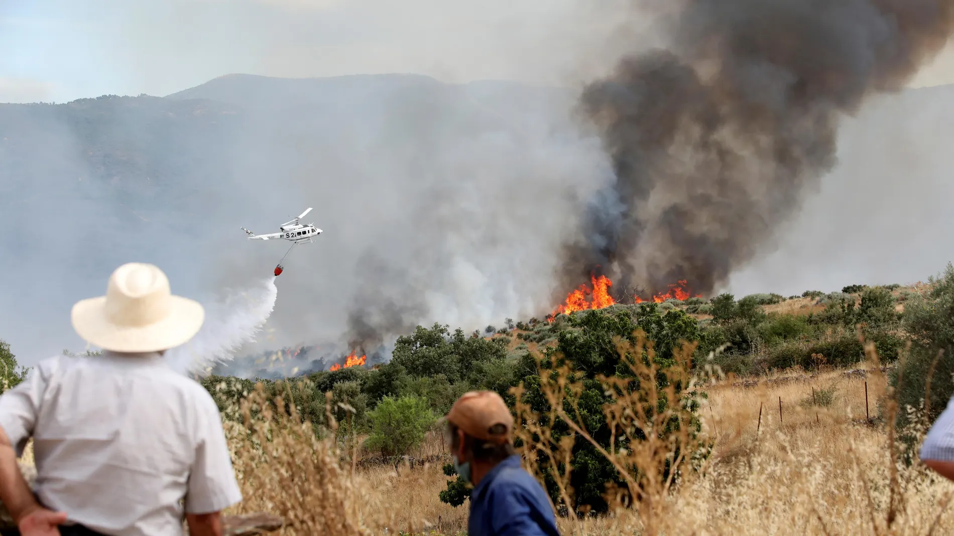 Un incendio arrasa masa arbolada en Serradilla del Llano (Salamanca)
