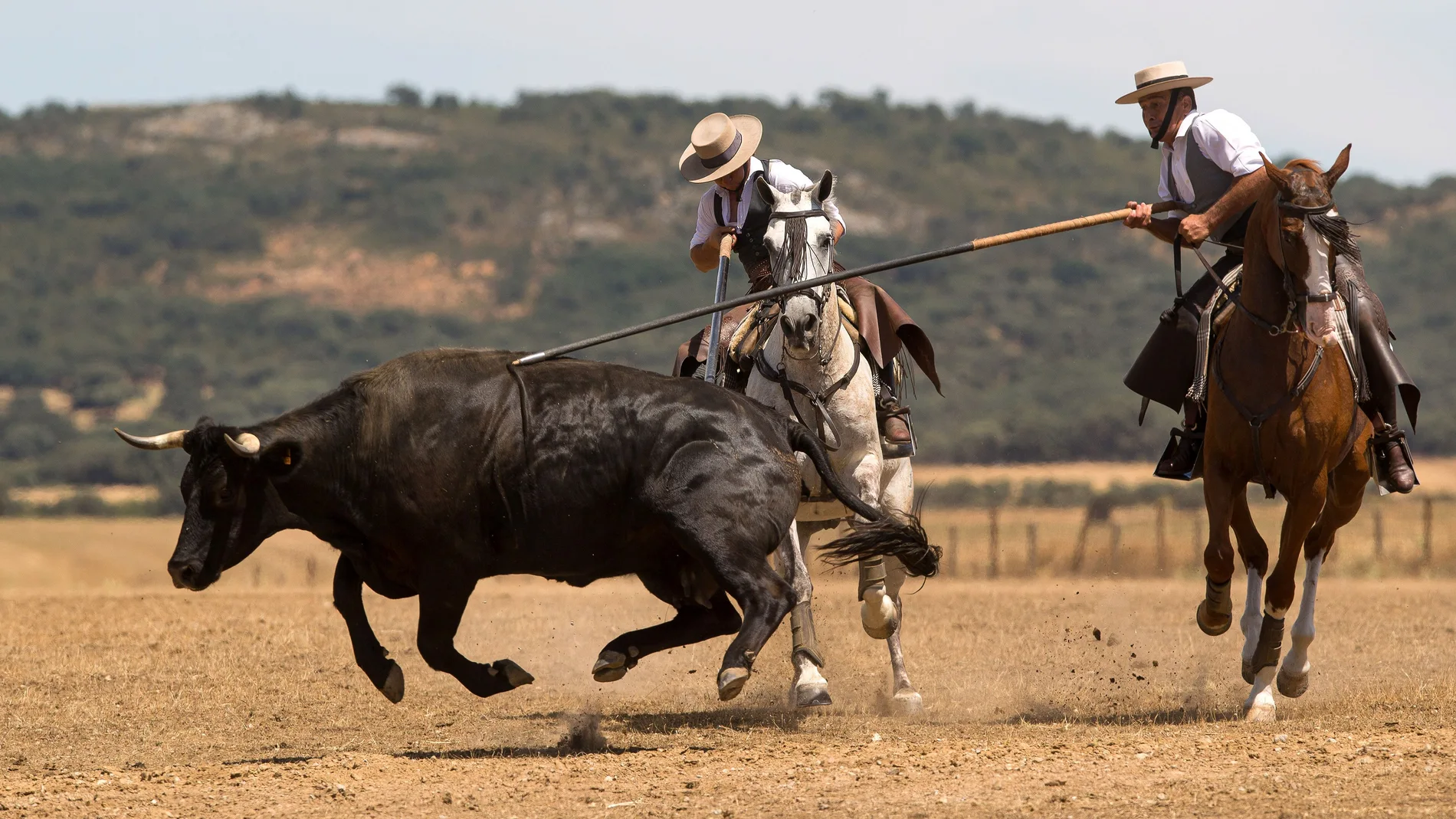 Concurso de Acoso y Derribo de Ciudad Rodrigo